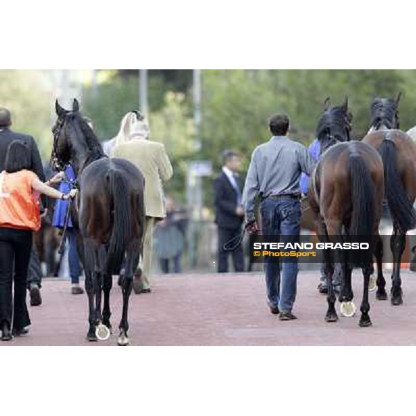 Tesey returns home after winning the Premio Conte Felice Scheibler Rome, 23rd oct. 2011 ph.Stefano Grasso