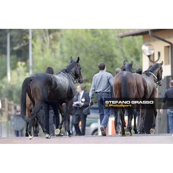 Tesey returns home after winning the Premio Conte Felice Scheibler Rome, 23rd oct. 2011 ph.Stefano Grasso