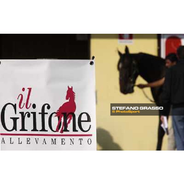 Anact - Selected trotting Yearlings Sale Settimo Milanese (MI) - 17-18th oct.2011 ph.Stefano Grasso