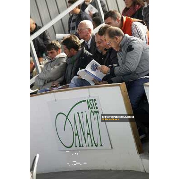 Anact - Selected trotting Yearlings Sale Settimo Milanese (MI) - 17-18th oct.2011 ph.Stefano Grasso