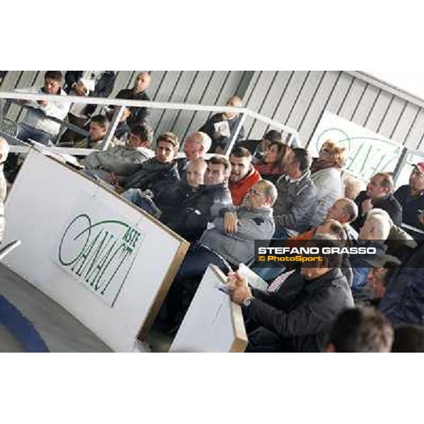 Anact - Selected trotting Yearlings Sale Settimo Milanese (MI) - 17-18th oct.2011 ph.Stefano Grasso
