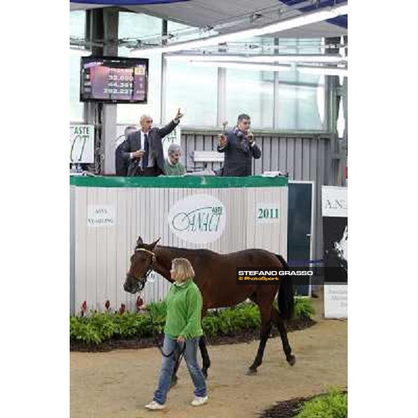 Anact - Selected trotting Yearlings Sale Settimo Milanese (MI) - 17-18th oct.2011 ph.Stefano Grasso