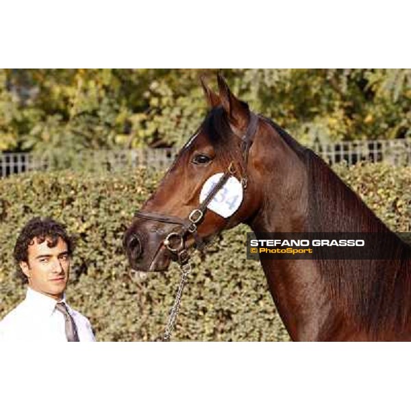 Anact - Selected trotting Yearlings Sale Settimo Milanese (MI) - 17-18th oct.2011 ph.Stefano Grasso