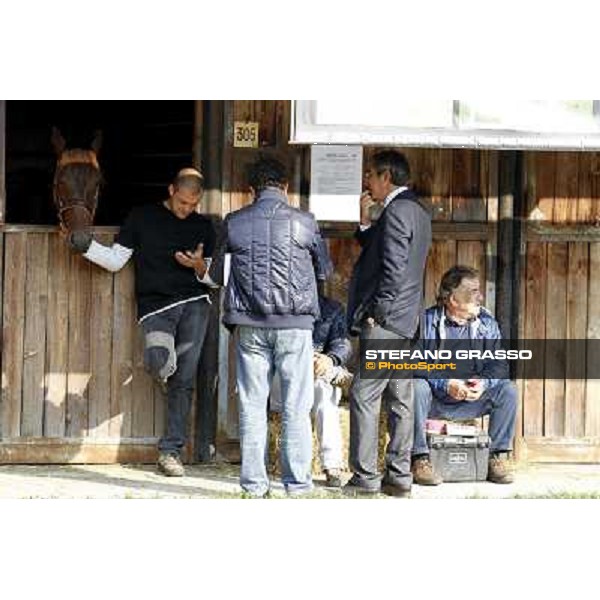 Anact - Selected trotting Yearlings Sale Settimo Milanese (MI) - 17-18th oct.2011 ph.Stefano Grasso