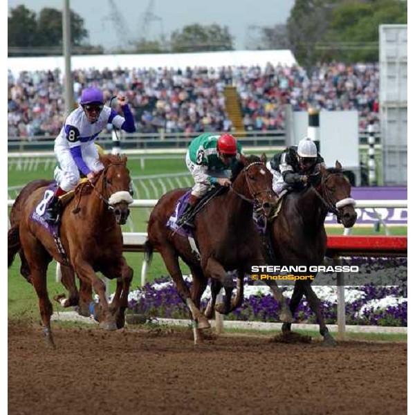 at few meters to the line of Bessemer Trust Breeders\' Cup Juvenile, Frankie Dettori on Wilko, begins to exult. Dallas 30th october 2004 ph. Stefano Grasso