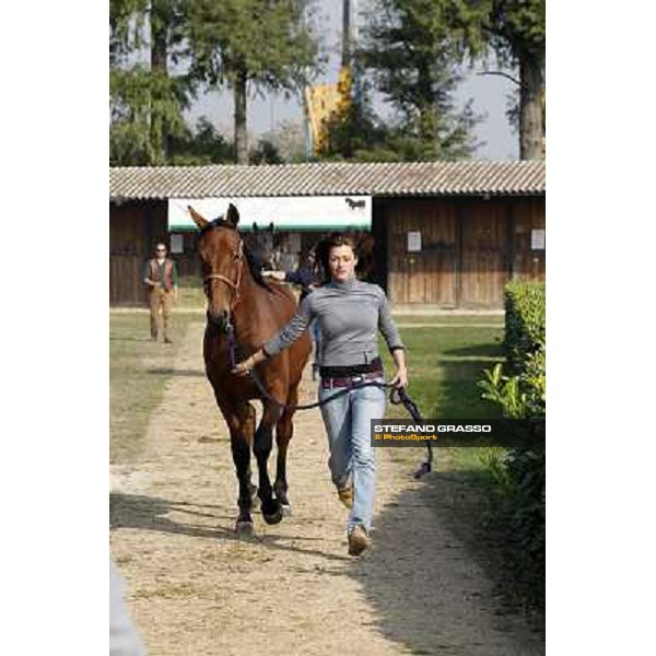 Anact - Selected trotting Yearlings Sale Settimo Milanese (MI) - 17-18th oct.2011 ph.Stefano Grasso
