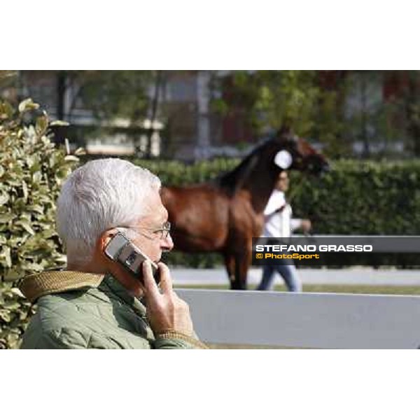 Anact - Selected trotting Yearlings Sale Settimo Milanese (MI) - 17-18th oct.2011 ph.Stefano Grasso