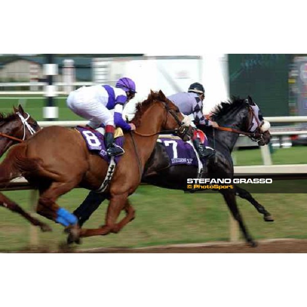 Frankie Dettori on Wilko (8) at the first passage of Bessemer Trust Breeders\' Cup Juvenile. Twice Unbridled leads Dallas 30th october 2004 ph. Stefano Grasso