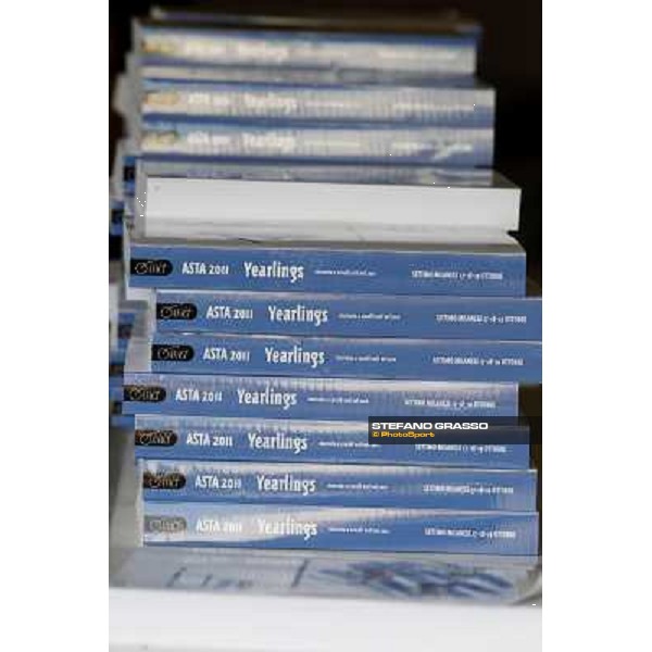 Anact - Selected trotting Yearlings Sale Settimo Milanese (MI) - 17-18th oct.2011 ph.Stefano Grasso