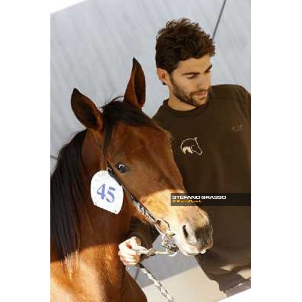 Anact - Selected trotting Yearlings Sale Settimo Milanese (MI) - 17-18th oct.2011 ph.Stefano Grasso