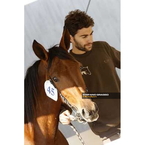 Anact - Selected trotting Yearlings Sale Settimo Milanese (MI) - 17-18th oct.2011 ph.Stefano Grasso