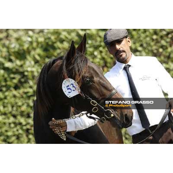Anact - Selected trotting Yearlings Sale Settimo Milanese (MI) - 17-18th oct.2011 ph.Stefano Grasso