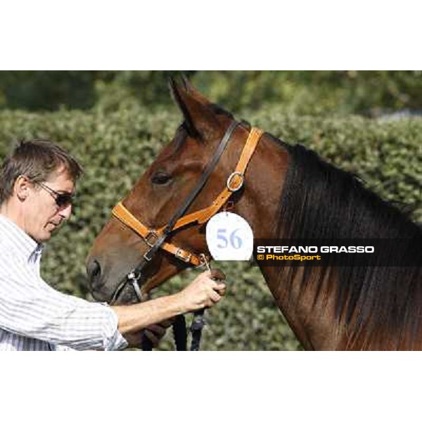 Anact - Selected trotting Yearlings Sale Settimo Milanese (MI) - 17-18th oct.2011 ph.Stefano Grasso
