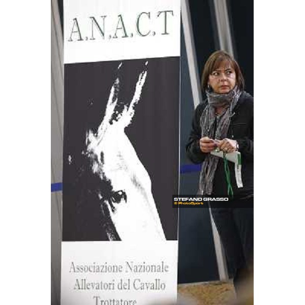 Anact - Selected trotting Yearlings Sale Settimo Milanese (MI) - 17-18th oct.2011 ph.Stefano Grasso