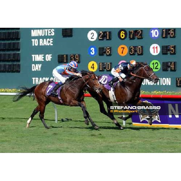 David Flores on Singletary, beats Antonius Pius in the Netjets Breeders\' Cup Mile Dallas 30th october 2004 ph. Stefano Grasso