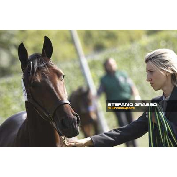 Anact - Selected trotting Yearlings Sale Settimo Milanese (MI) - 17-18th oct.2011 ph.Stefano Grasso