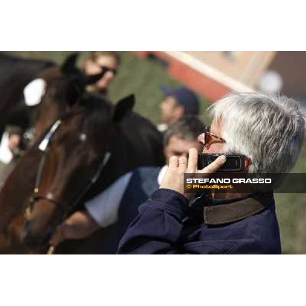 Anact - Selected trotting Yearlings Sale Settimo Milanese (MI) - 17-18th oct.2011 ph.Stefano Grasso