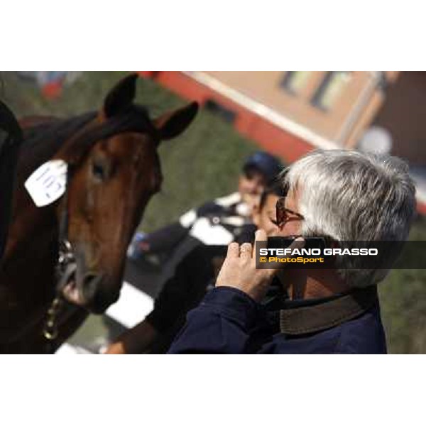 Anact - Selected trotting Yearlings Sale Settimo Milanese (MI) - 17-18th oct.2011 ph.Stefano Grasso