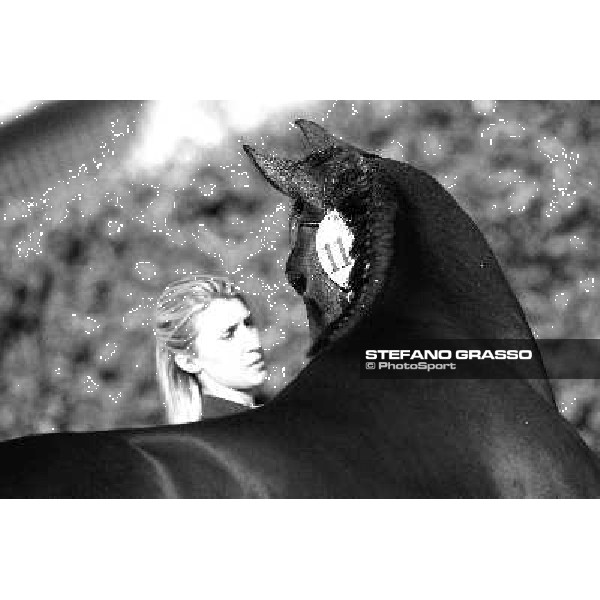 Anact - Selected trotting Yearlings Sale Settimo Milanese (MI) - 17-18th oct.2011 ph.Stefano Grasso