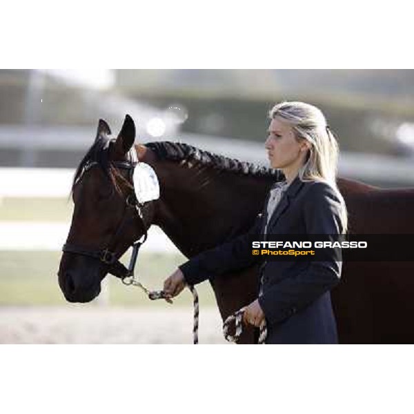 Anact - Selected trotting Yearlings Sale Settimo Milanese (MI) - 17-18th oct.2011 ph.Stefano Grasso