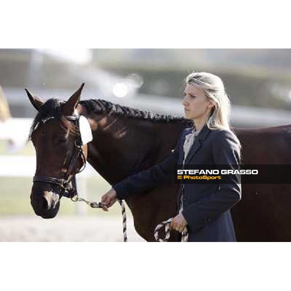 Anact - Selected trotting Yearlings Sale Settimo Milanese (MI) - 17-18th oct.2011 ph.Stefano Grasso
