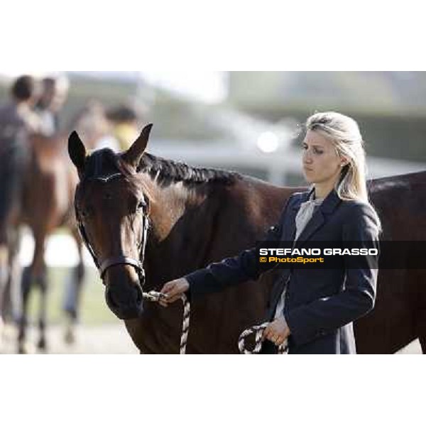 Anact - Selected trotting Yearlings Sale Settimo Milanese (MI) - 17-18th oct.2011 ph.Stefano Grasso