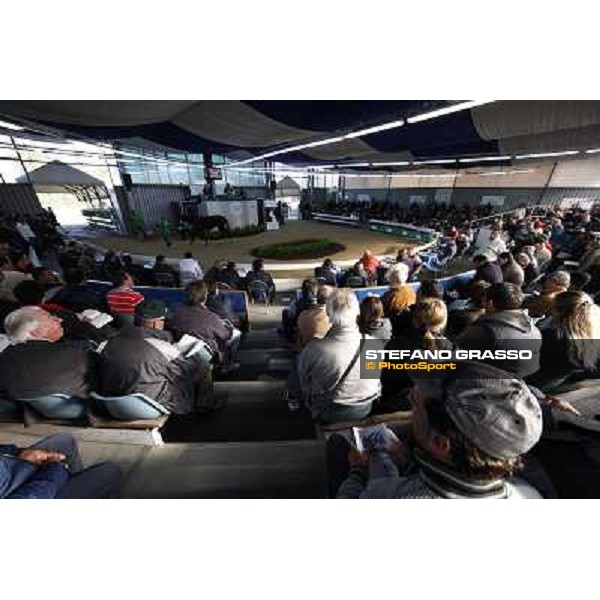 Anact - Selected trotting Yearlings Sale Settimo Milanese (MI) - 17-18th oct.2011 ph.Stefano Grasso