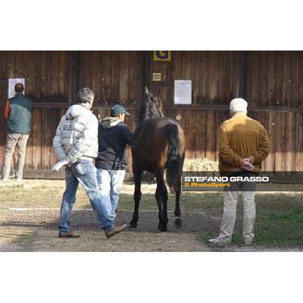 Anact - Selected trotting Yearlings Sale Settimo Milanese (MI) - 17-18th oct.2011 ph.Stefano Grasso