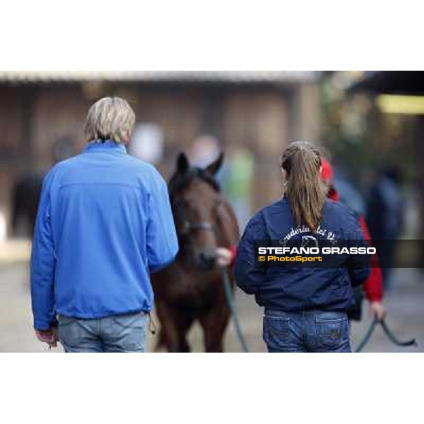 Anact - Selected trotting Yearlings Sale Settimo Milanese (MI) - 17-18th oct.2011 ph.Stefano Grasso