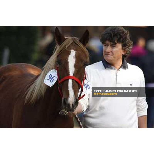 Anact - Selected trotting Yearlings Sale Settimo Milanese (MI) - 17-18th oct.2011 ph.Stefano Grasso
