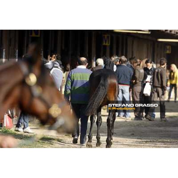 Anact - Selected trotting Yearlings Sale Settimo Milanese (MI) - 17-18th oct.2011 ph.Stefano Grasso