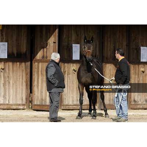 Anact - Selected trotting Yearlings Sale Settimo Milanese (MI) - 17-18th oct.2011 ph.Stefano Grasso