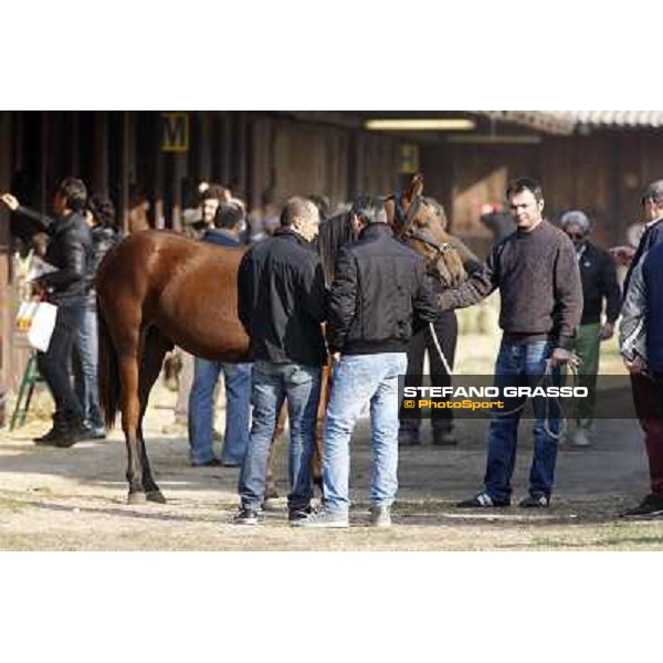 Anact - Selected trotting Yearlings Sale Settimo Milanese (MI) - 17-18th oct.2011 ph.Stefano Grasso
