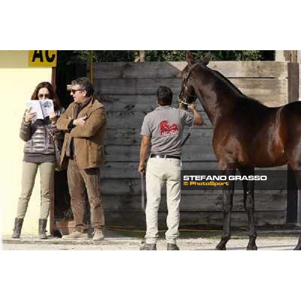 Anact - Selected trotting Yearlings Sale Settimo Milanese (MI) - 17-18th oct.2011 ph.Stefano Grasso