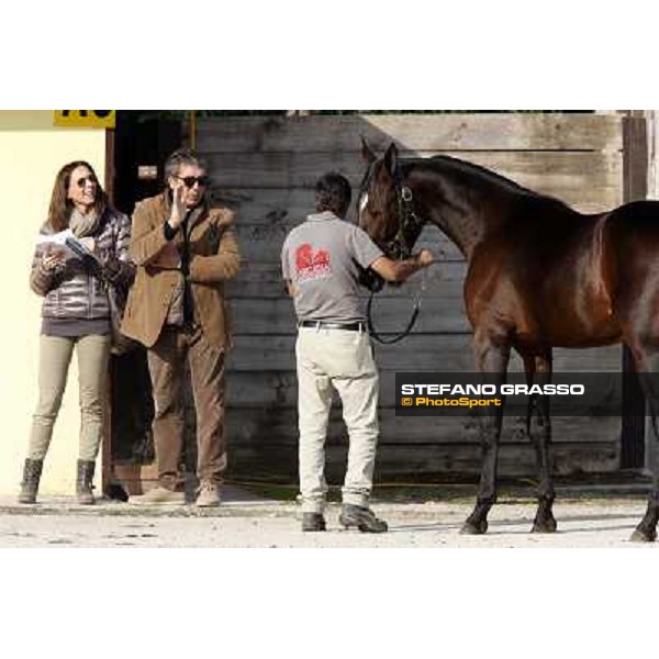 Anact - Selected trotting Yearlings Sale Settimo Milanese (MI) - 17-18th oct.2011 ph.Stefano Grasso