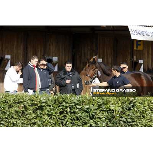 Anact - Selected trotting Yearlings Sale Settimo Milanese (MI) - 17-18th oct.2011 ph.Stefano Grasso