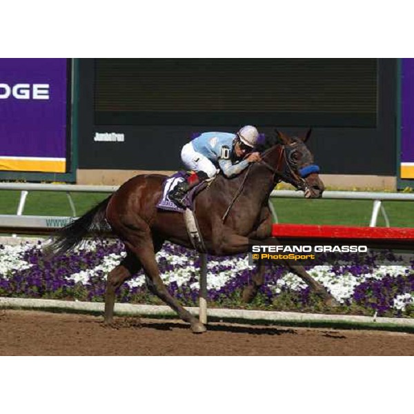 Corey Nakatani on Sweet Catomine at last few meters to the line of Breeder\'s Cup Juvenile Fillies Dallas 30th october 2004 ph. Stefano Grasso