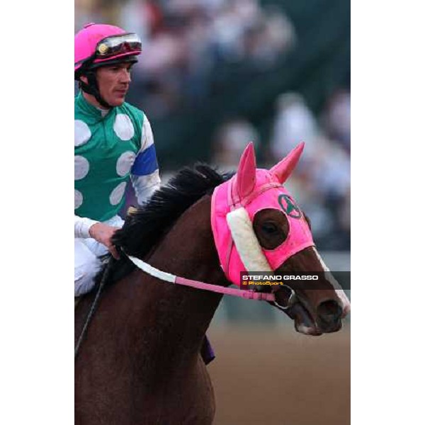 Frankie Dettori on Personal Rush - Breeders\' Cup Classic Dallas 30th october 2004 ph. Stefano Grasso