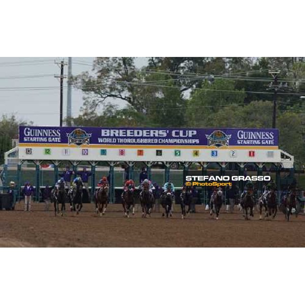 start of Breeders\' Cup Classic Dallas 30th october 2004 ph. Stefano Grasso