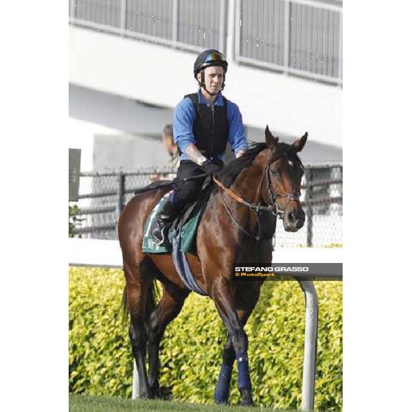 Morning trackworks at Sha Tin - Jakkalberry Hong Kong - Sha Tin racecourse, 7th dec. 2011 ph.Stefano Grasso