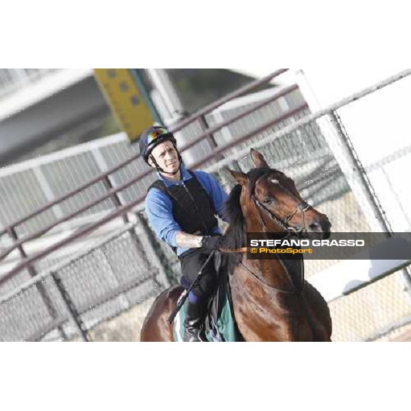 Morning trackworks at Sha Tin - Jakkalberry Hong Kong - Sha Tin racecourse, 7th dec. 2011 ph.Stefano Grasso