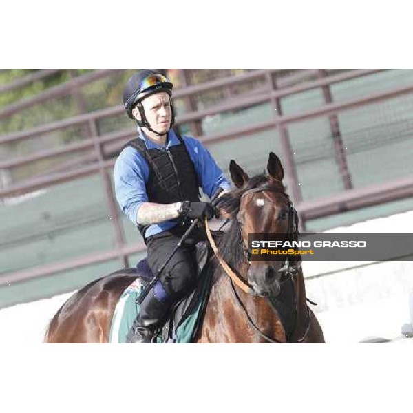 Morning trackworks at Sha Tin - Jakkalberry Hong Kong - Sha Tin racecourse, 7th dec. 2011 ph.Stefano Grasso