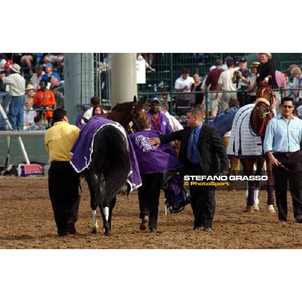 congratulations for the lad of Better Talk Now winner of John Deere Breeders\' Cup Turf Dallas 30th october 2004 ph. Stefano Grasso