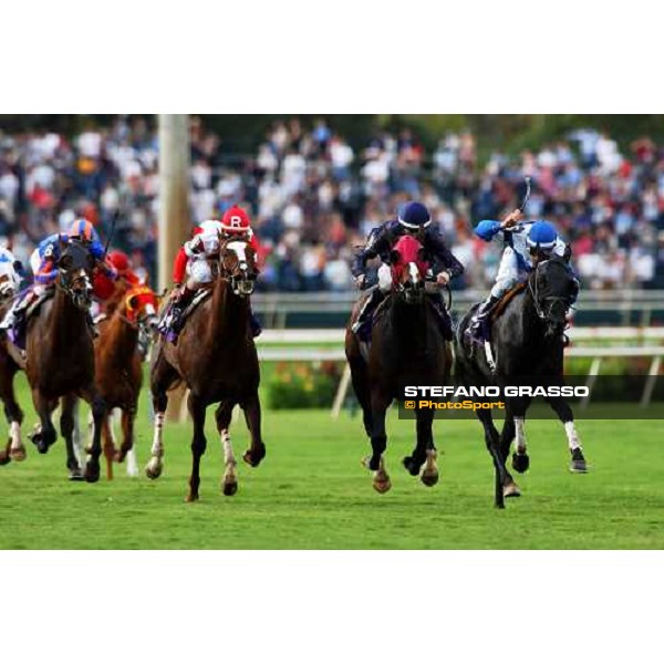 at last few meters to the line of John Deere B reeders\' Cup Turf, Better Talk Now(1st from right) goes to the line with Powerscourt and Kitten\'s Joy on the same line Dallas 30th october 2004 ph. Stefano Grasso