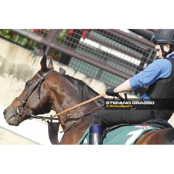 Morning trackworks at Sha Tin - Jakkalberry Hong Kong - Sha Tin racecourse, 7th dec. 2011 ph.Stefano Grasso