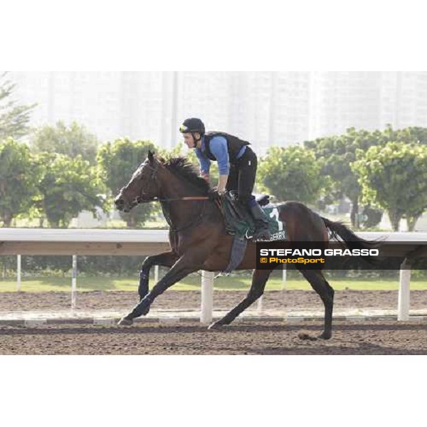 Morning trackworks at Sha Tin - Jakkalberry Hong Kong - Sha Tin racecourse, 7th dec. 2011 ph.Stefano Grasso