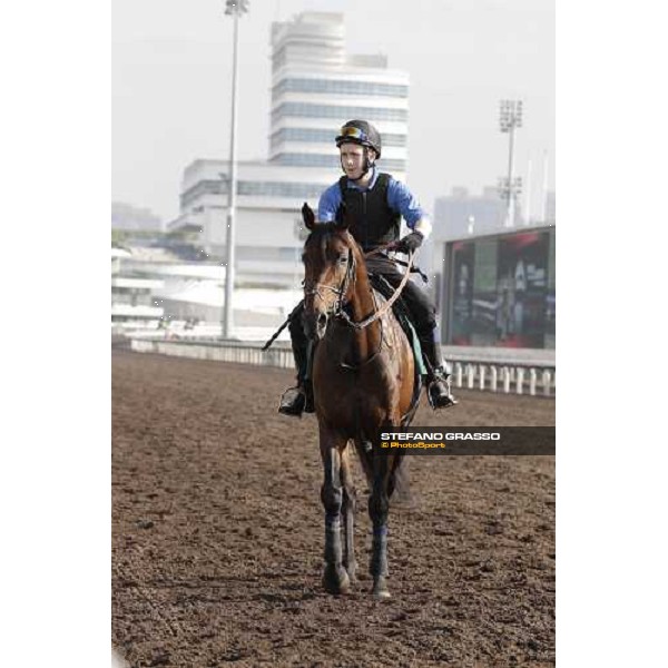 Morning trackworks at Sha Tin - Jakkalberry Hong Kong - Sha Tin racecourse, 7th dec. 2011 ph.Stefano Grasso