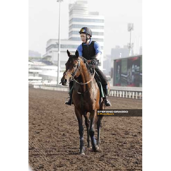 Morning trackworks at Sha Tin - Jakkalberry Hong Kong - Sha Tin racecourse, 7th dec. 2011 ph.Stefano Grasso