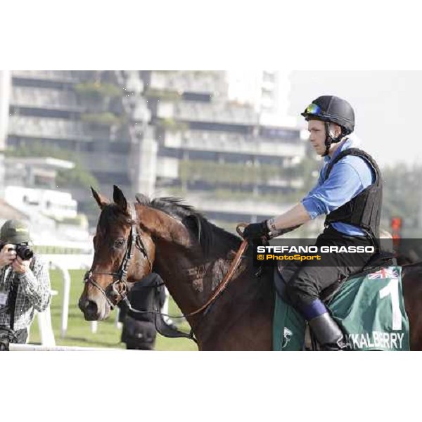 Morning trackworks at Sha Tin - Jakkalberry Hong Kong - Sha Tin racecourse, 7th dec. 2011 ph.Stefano Grasso