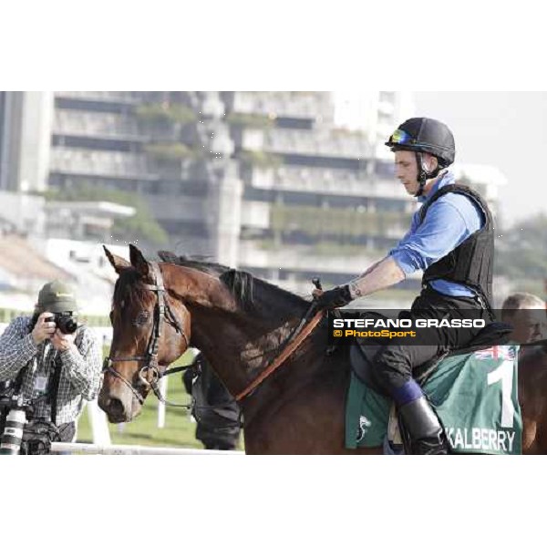 Morning trackworks at Sha Tin - Jakkalberry Hong Kong - Sha Tin racecourse, 7th dec. 2011 ph.Stefano Grasso